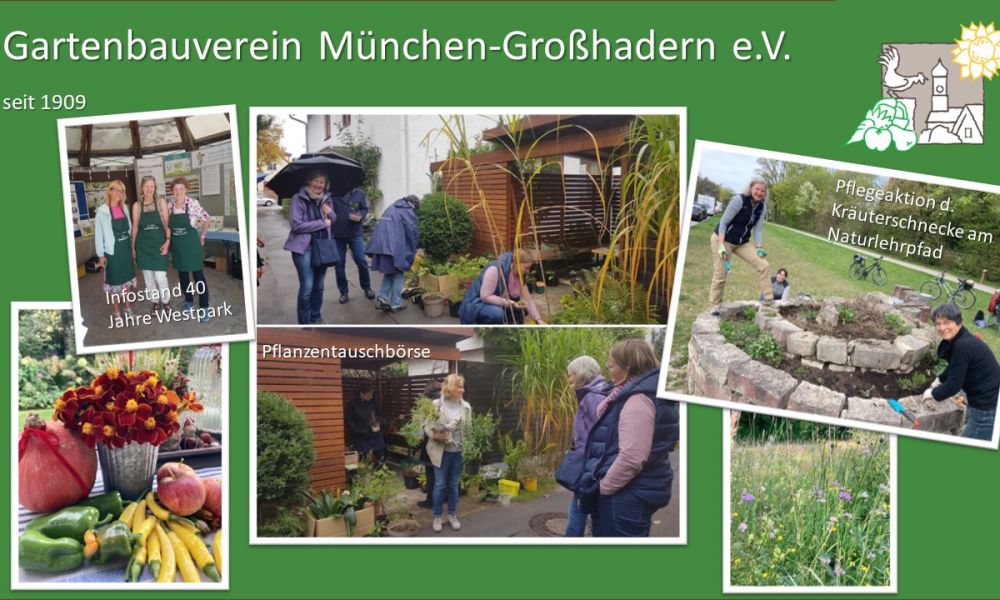 Collage Gartenbauverein Homepage